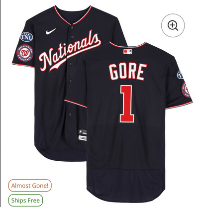 Men Washington Nationals #1 Gore blue Nike jersey